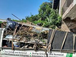 Shed Removal in St Martins, MO